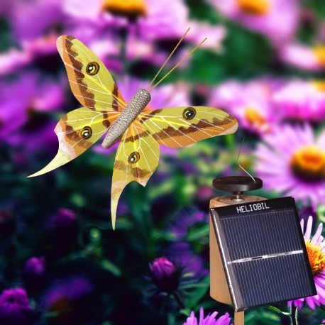 Papillon solaire exotique 10 cm sur socle incliné