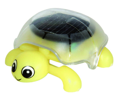 Tortue solaire