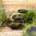 Cascade grenouille nénuphars